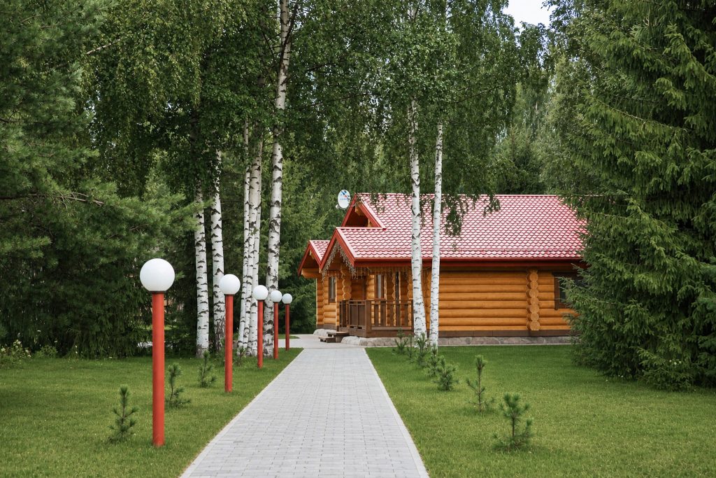 Img 7529 чистое ai