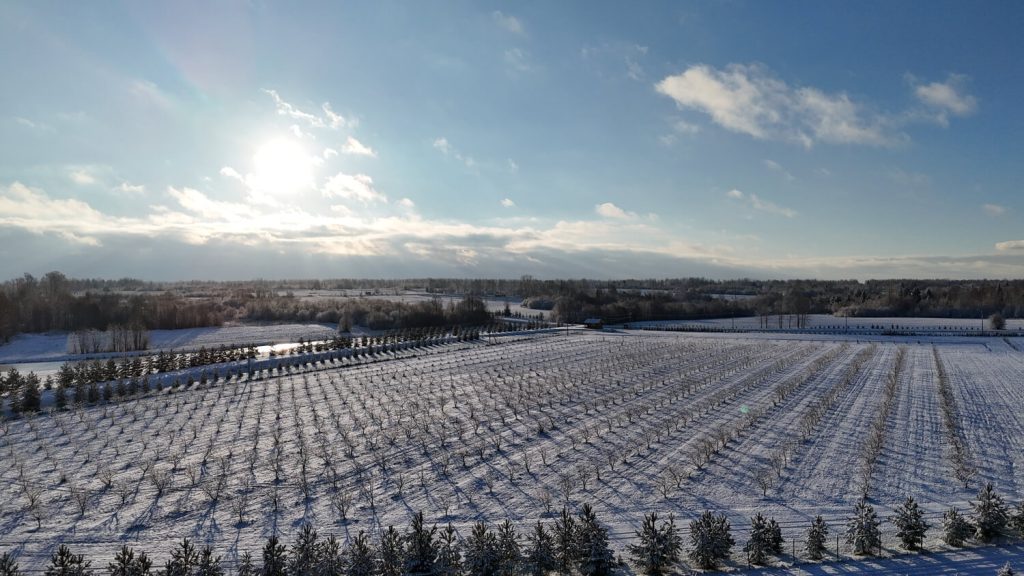 Dji 20241124110958 0104 d