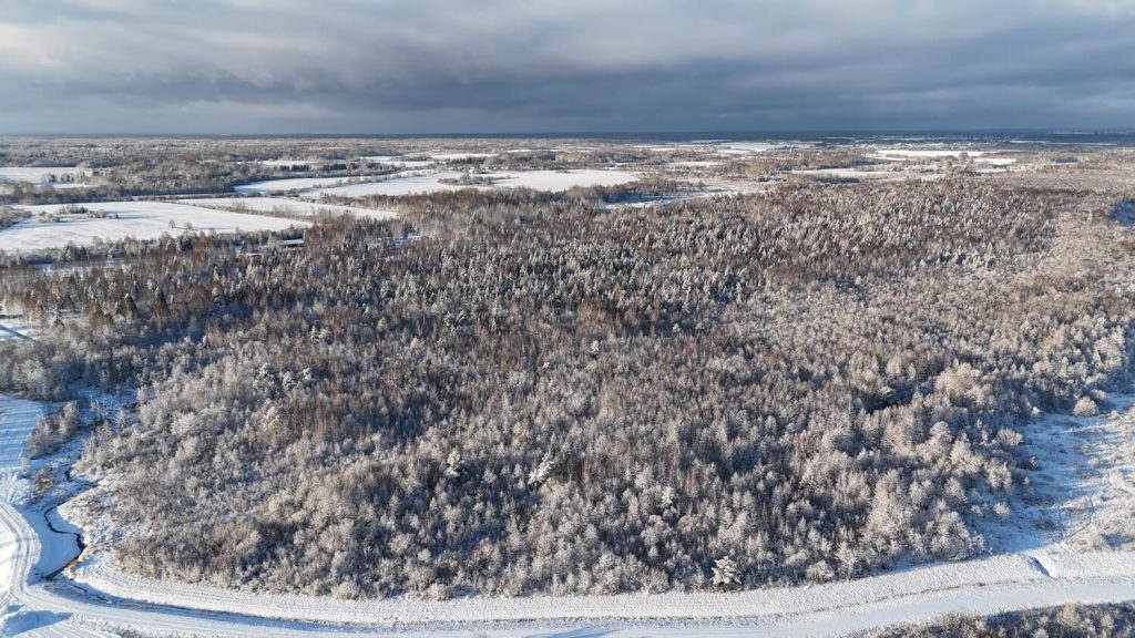 Dji 20241124112240 0122 d