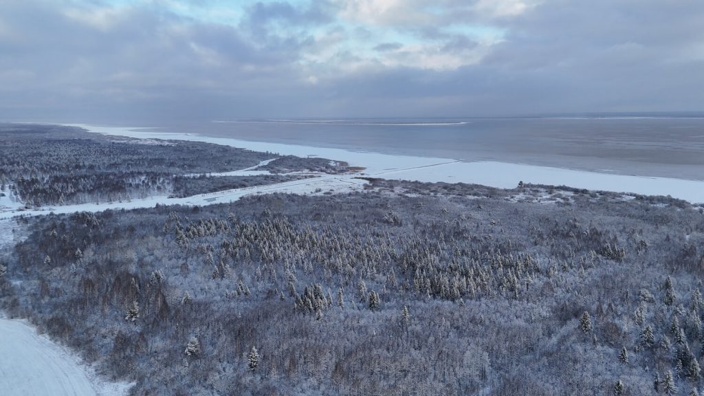 Dji 20241124114747 0165 d