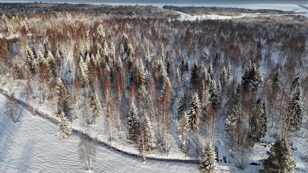 Dji 20241124114942 0171 d