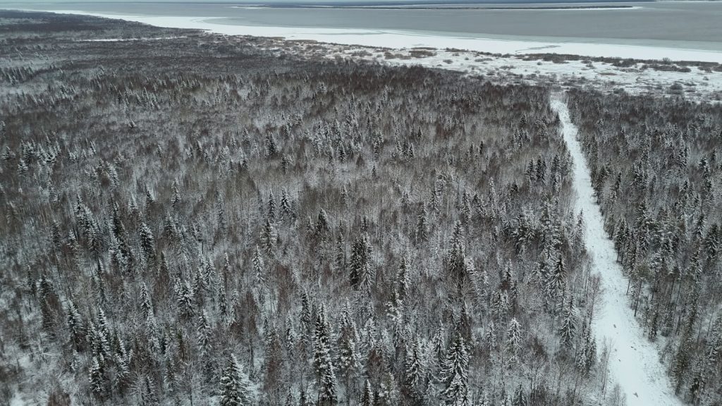 Dji 20241124152033 0223 d