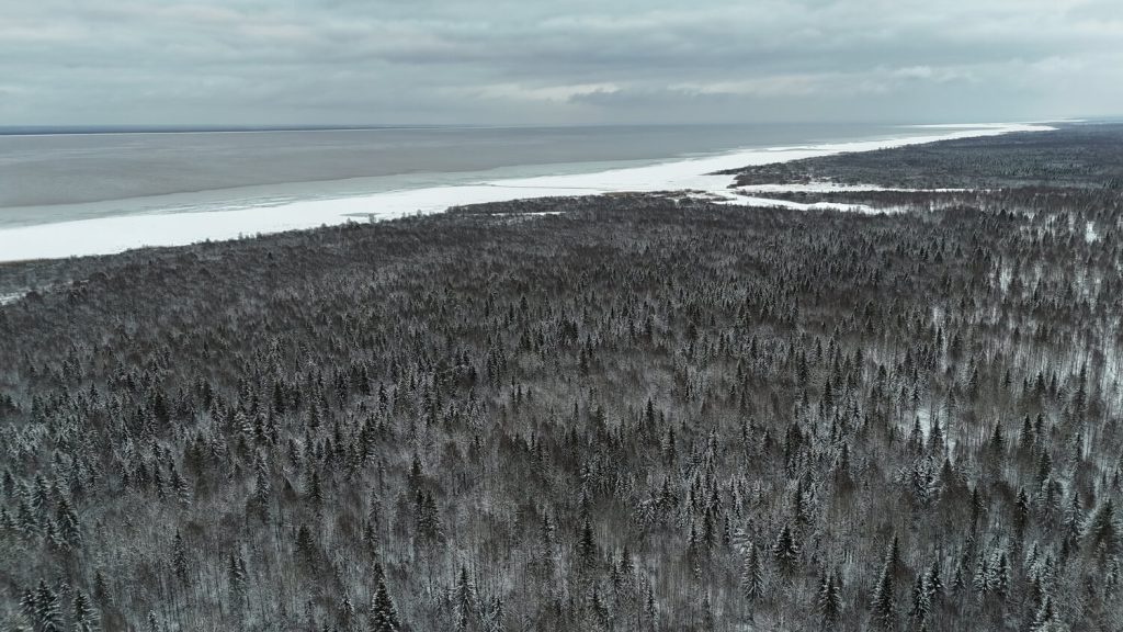 Dji 20241124152608 0225 d