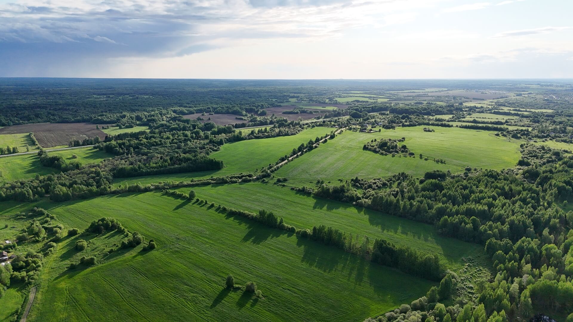 Dji 20250604185240 0223 d (1) (1)