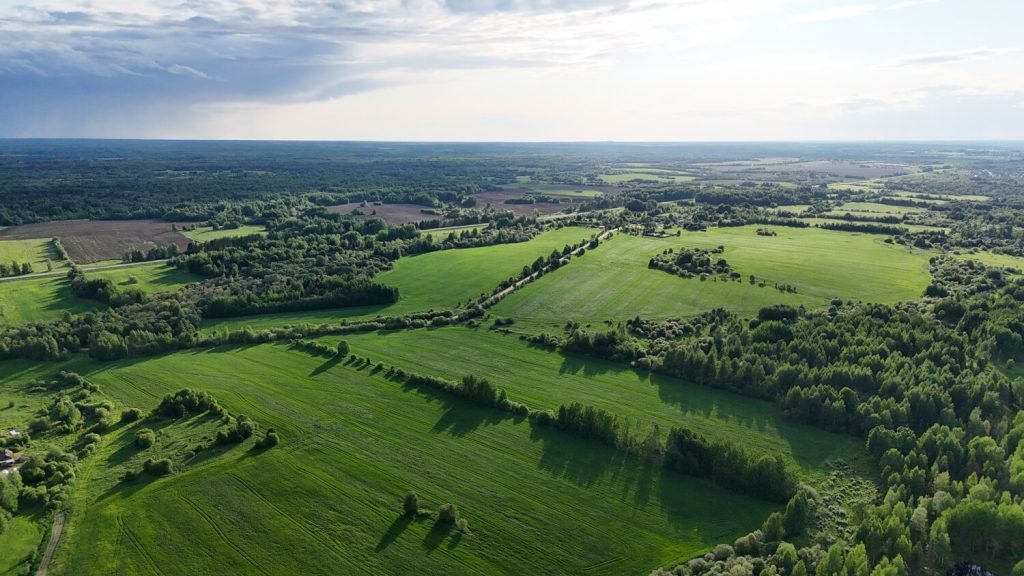 Dji 20250604185240 0223 d