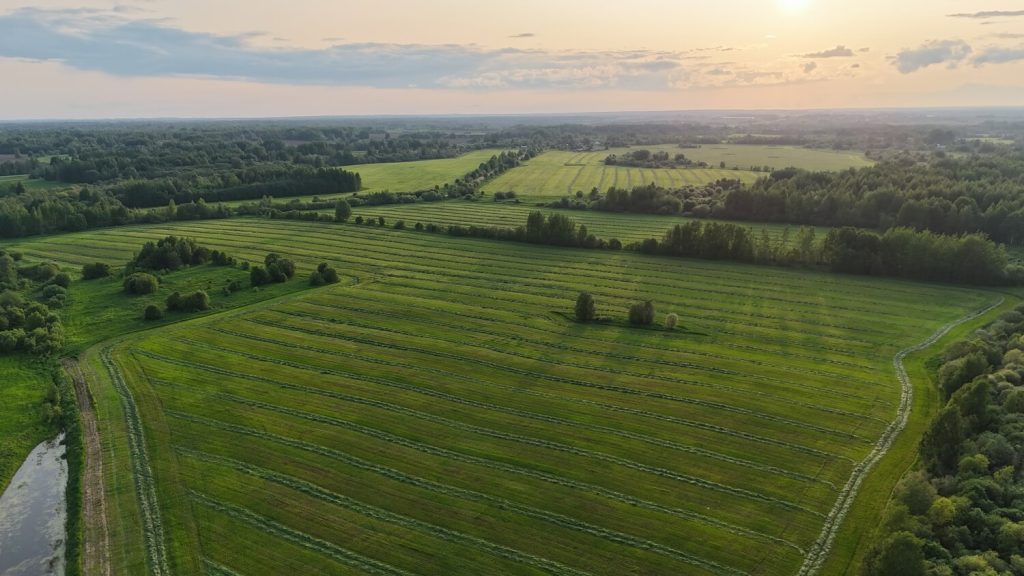 Dji 20250607200808 0230 d