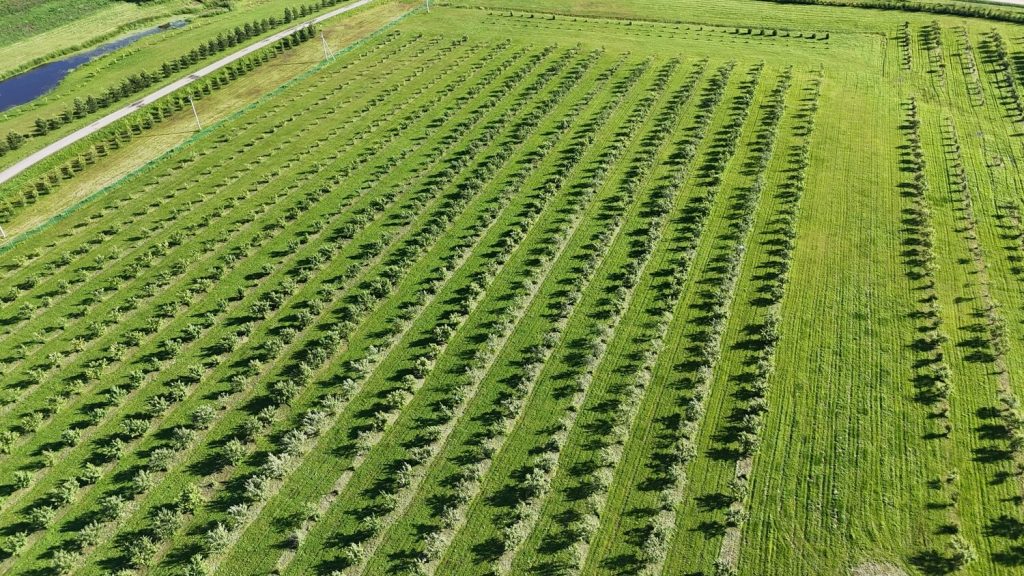 Dji 20250703172344 0244 d