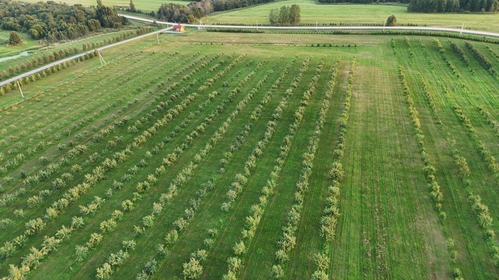 Dji 20250729201908 0299 d
