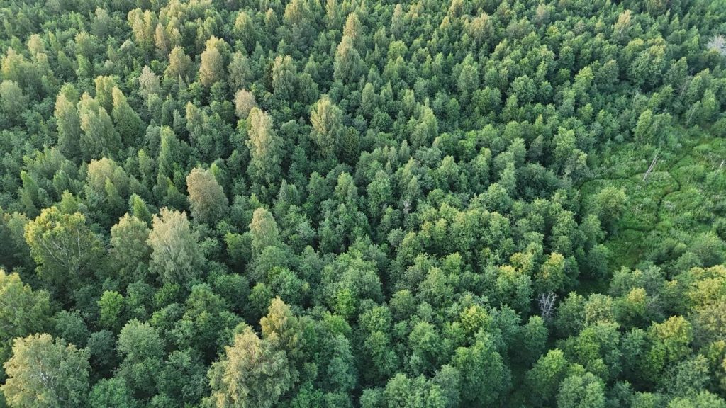 Dji 20250729202424 0315 d