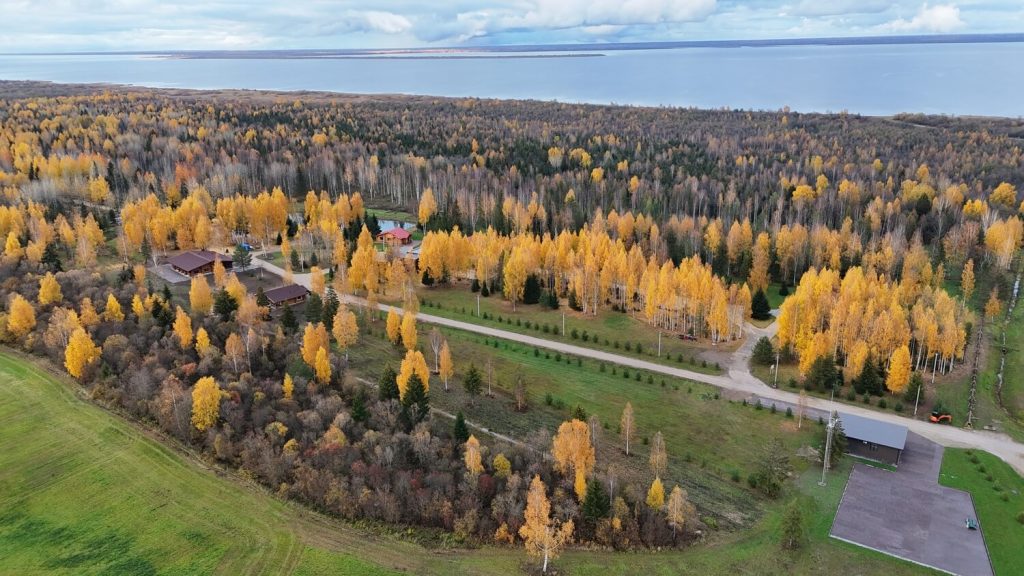 Dji 20251012164354 0424 d