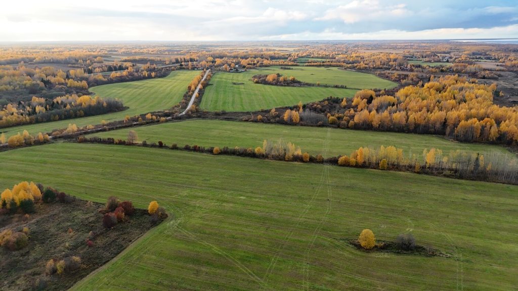 Dji 20251012164406 0426 d