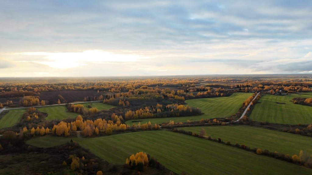 Dji 20251012164412 0428 d