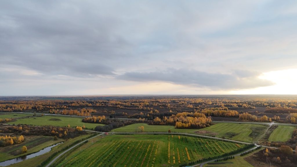 Dji 20251012164421 0431 d