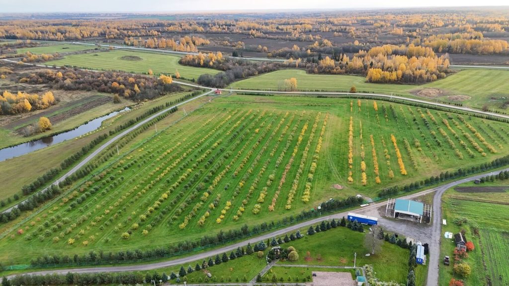 Dji 20251012164435 0432 d