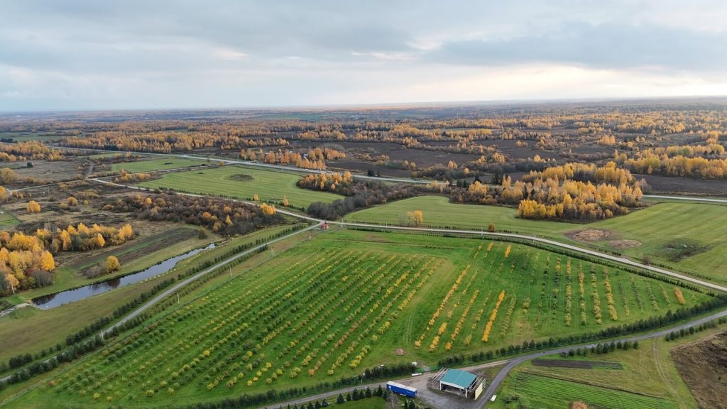 Dji 20251012164452 0435 d