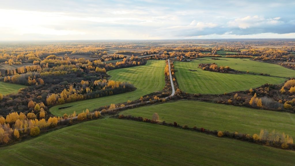 Dji 20251012164455 0436 d