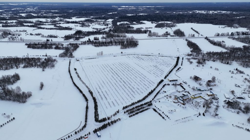Dji 20260308151429 0494 d