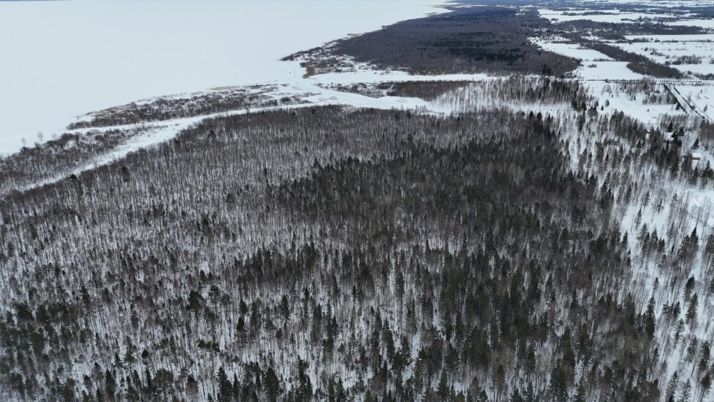 Dji 20260308152647 0548 d