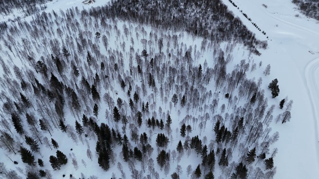 Dji 20260308152051 0520 d 1 (1)